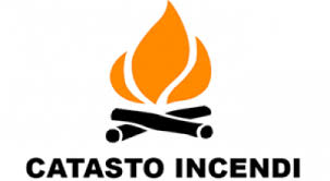 LEGGE N.353/2000 – ELENCO PROVVISORIO DEI TERRENI PER L’ISTITUZIONE DEL CATASTO DEI SOPRASSUOLI PERCORSI DAL FUOCO ANNO 2024. PERIODO OSSERVAZIONI